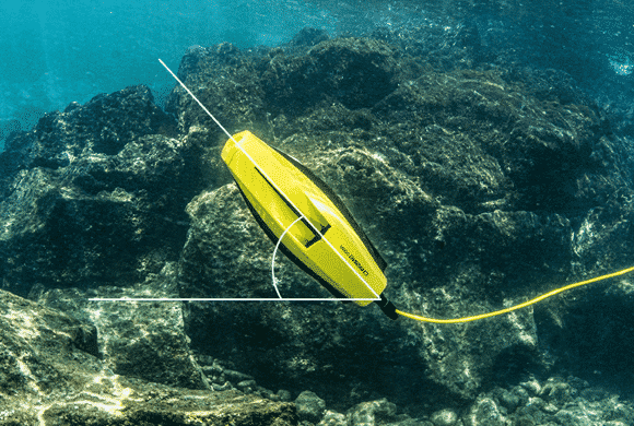 Chasing Dory Underwater Drone - look up or down